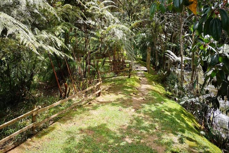 Lote en venta en Carrizales, El Retiro, 8500 m² · foto 18 de 24
