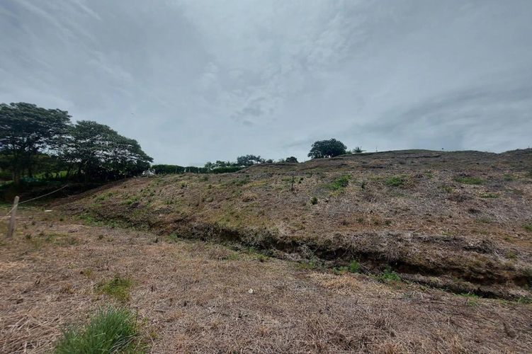 Lote en venta en La Macarena, Rionegro, 1013 m² · foto 3 de 19
