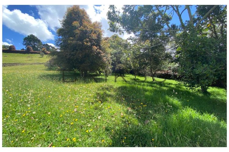 Lote en venta en Vía Las Palmas, Envigado, 6400 m² · foto 4 de 10