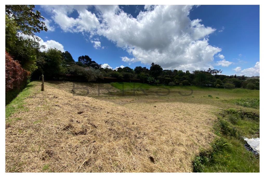 Land in Vía Las Palmas for Sale - 4