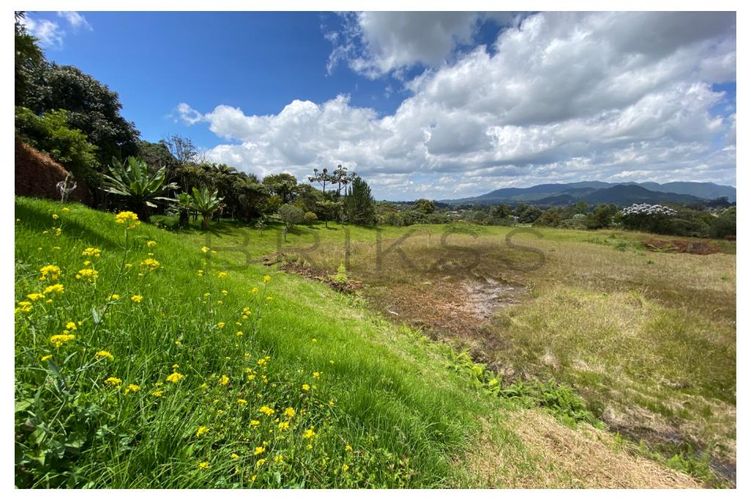 Lote en venta en Vía Las Palmas, Envigado, 6400 m² · foto 6 de 12