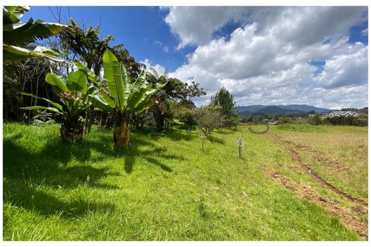Lote en venta en Vía Las Palmas, Envigado, 6400 m² · foto 7 de 12
