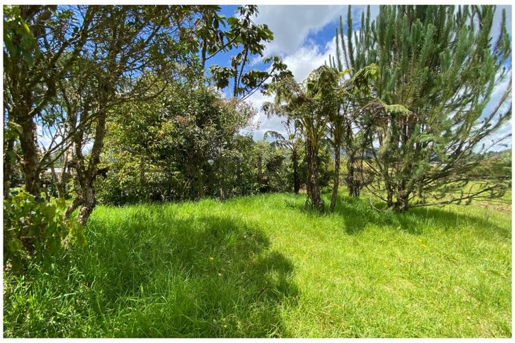 Lote en venta en Vía Las Palmas, Envigado, 6400 m² · foto 8 de 12
