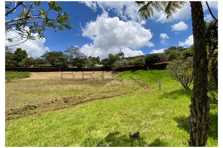 Lote en venta en Vía Las Palmas, Envigado, 6400 m² · foto 9 de 12