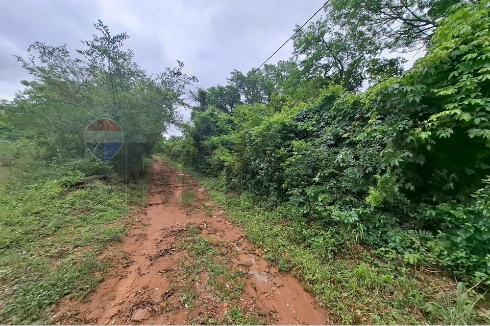 D.G. Terreno - Venta - Luque, Paraguay — foto 3
