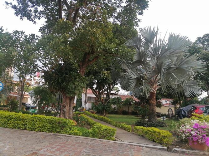 Casa de 4 alcobas en venta en Cañaveral, Floridablanca, 300 m² · foto 12 de 24
