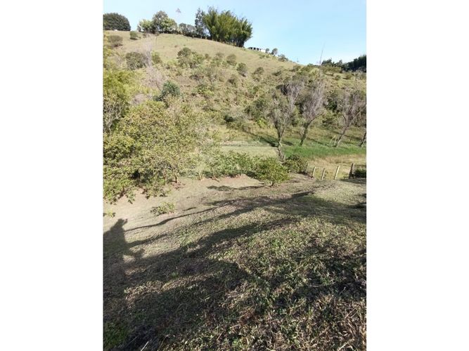 Lote en venta en El Porvenir, Rionegro, 6763 m² · foto 5 de 16