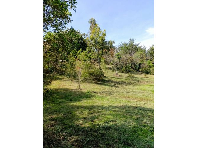 Lote en venta en El Porvenir, Rionegro, 6763 m² · foto 8 de 16