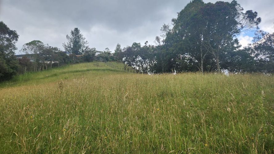 Lote en venta en Vía Las Palmas, Envigado, 3150 m² · foto 2 de 23