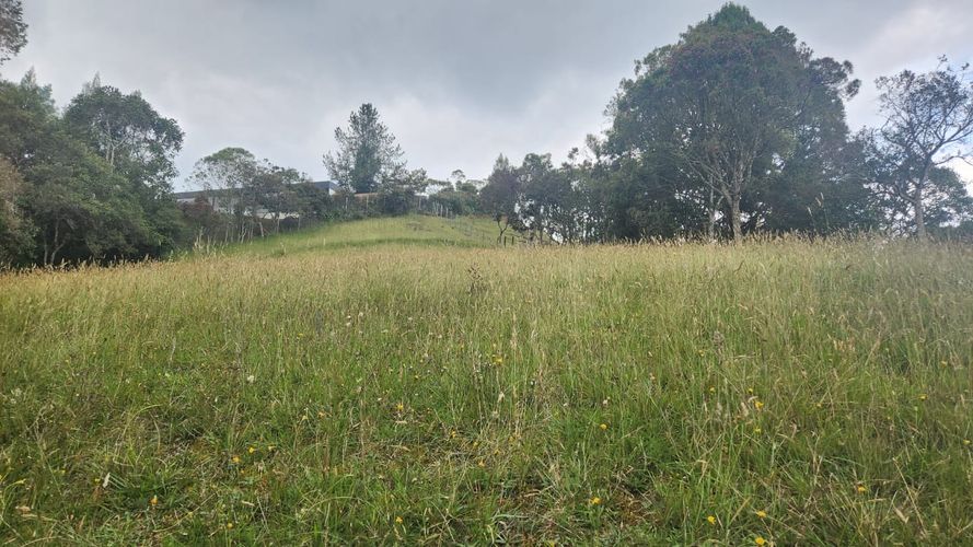 Lote en venta en Vía Las Palmas, Envigado, 3150 m² · foto 3 de 23