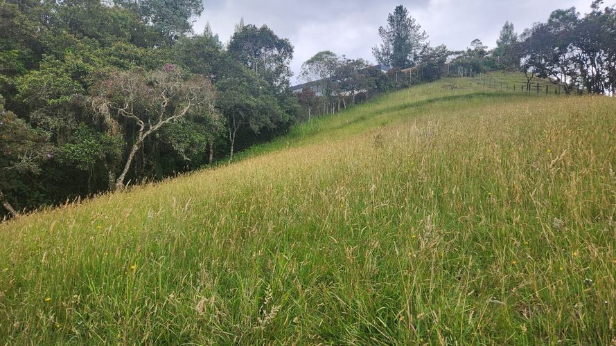 Lote en venta en Vía Las Palmas, Envigado, 3150 m² · foto 4 de 23