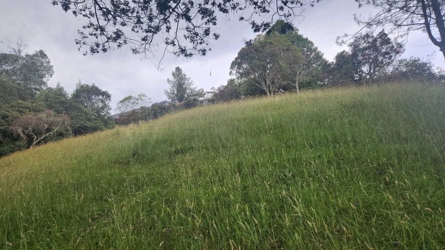 Lote en venta en Vía Las Palmas, Envigado, 3150 m² · foto 5 de 23
