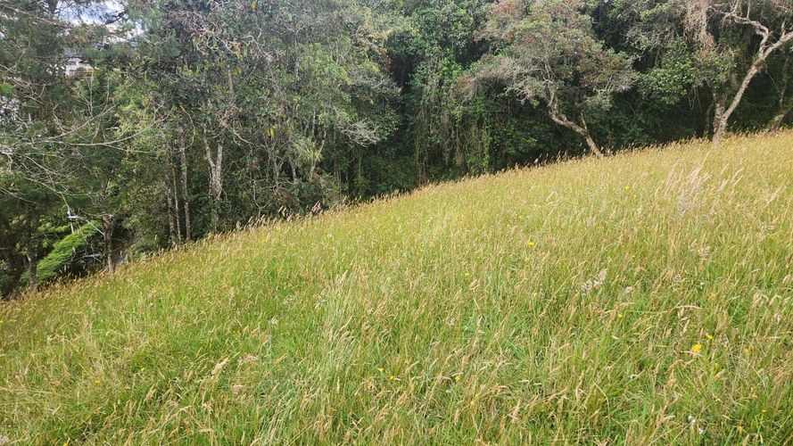 Lote en venta en Vía Las Palmas, Envigado, 3150 m² · foto 7 de 23