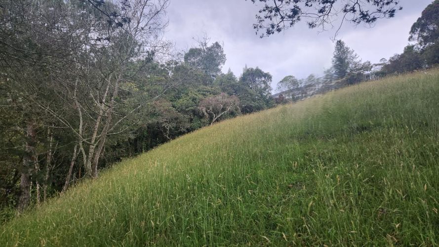 Lote en venta en Vía Las Palmas, Envigado, 3150 m² · foto 8 de 23