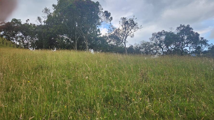 Lote en venta en Vía Las Palmas, Envigado, 3150 m² · foto 9 de 23