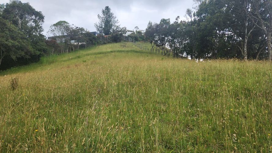 Lote en venta en Vía Las Palmas, Envigado, 3150 m² · foto 11 de 23