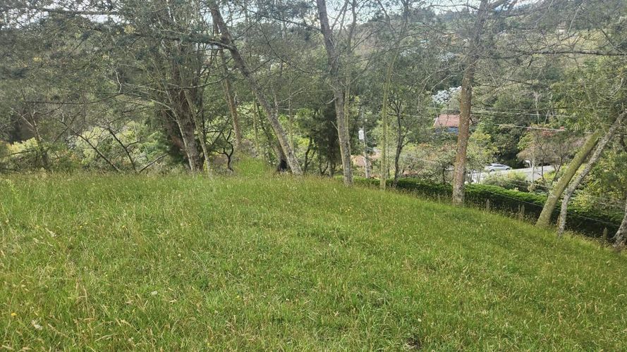 Lote en venta en Vía Las Palmas, Envigado, 3150 m² · foto 14 de 23