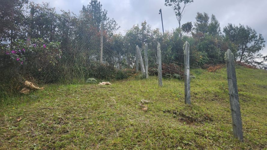 Lote en venta en Vía Las Palmas, Envigado, 3150 m² · foto 16 de 23