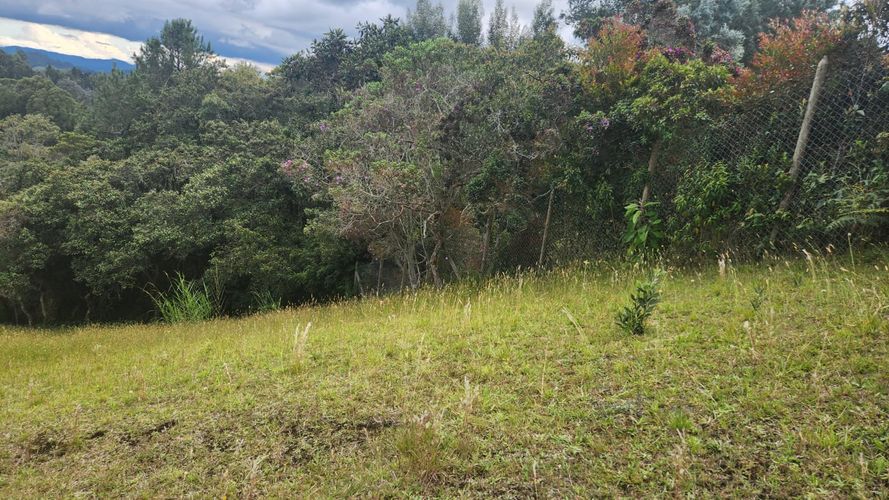 Lote en venta en Vía Las Palmas, Envigado, 3150 m² · foto 19 de 23