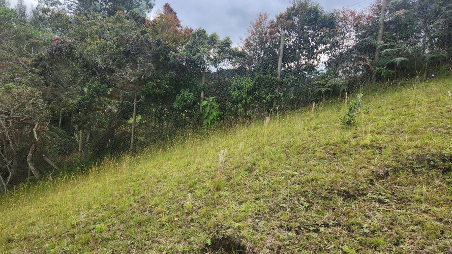 Lote en venta en Vía Las Palmas, Envigado, 3150 m² · foto 20 de 23