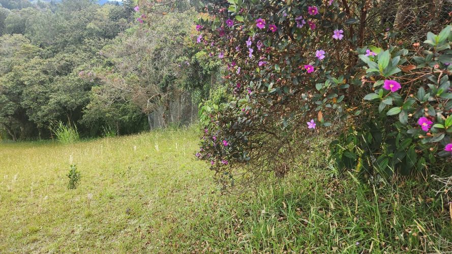Lote en venta en Vía Las Palmas, Envigado, 3150 m² · foto 22 de 23
