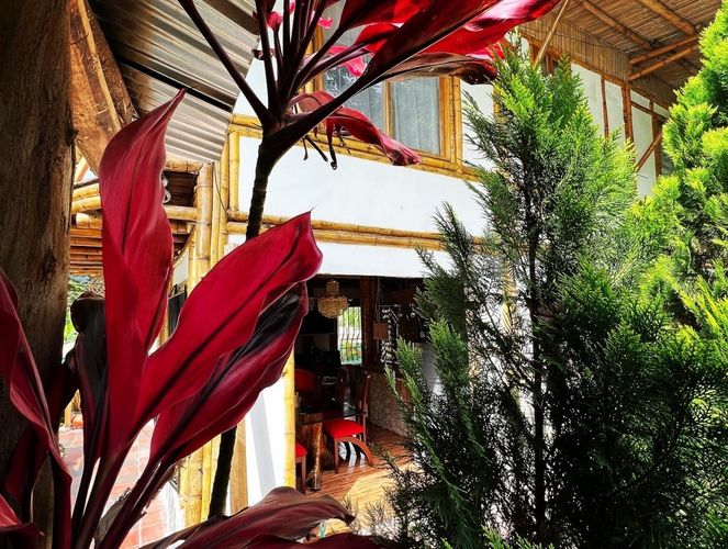 Finca en venta en El Secreto, Ibagué, 250 m² · foto 16 de 18