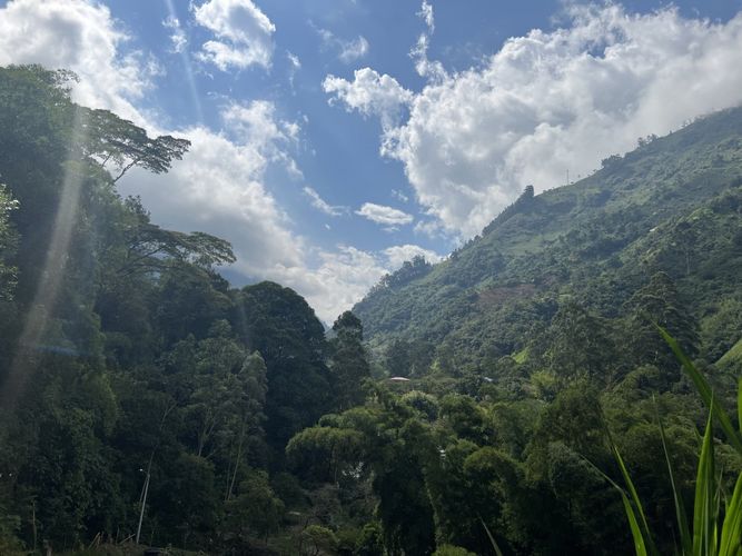 Finca en venta en El Secreto, Ibagué, 250 m² · foto 18 de 18