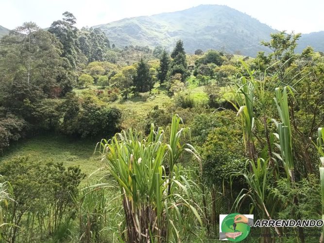 Lote en venta en Fontidue�O, Copacabana, 1002 m² · foto 22 de 23