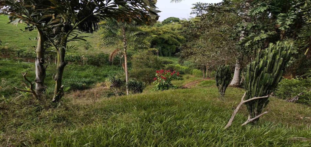 Lote en venta en Morelia, Pereira · foto 2 de 16