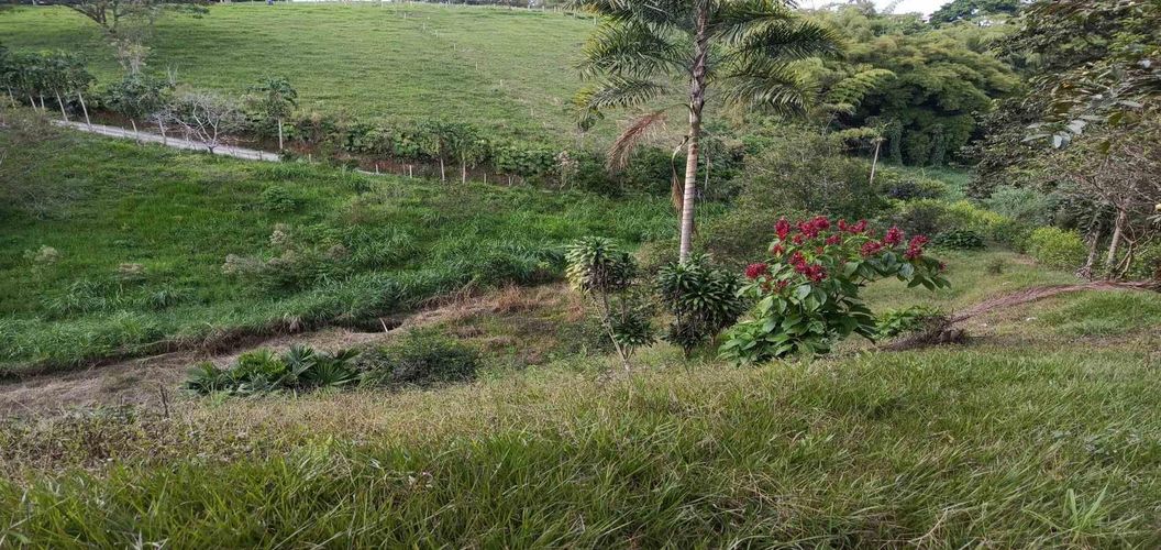 Lote en venta en Morelia, Pereira · foto 3 de 16