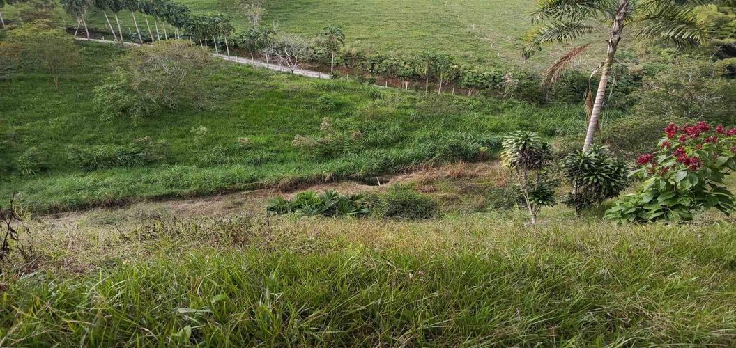 Lote en venta en Morelia, Pereira · foto 4 de 16