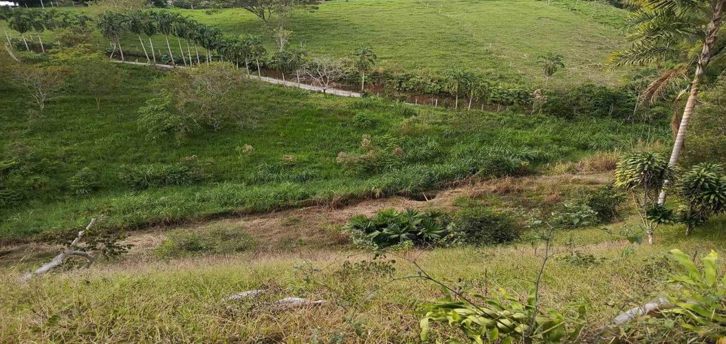 Lote en venta en Morelia, Pereira · foto 6 de 16
