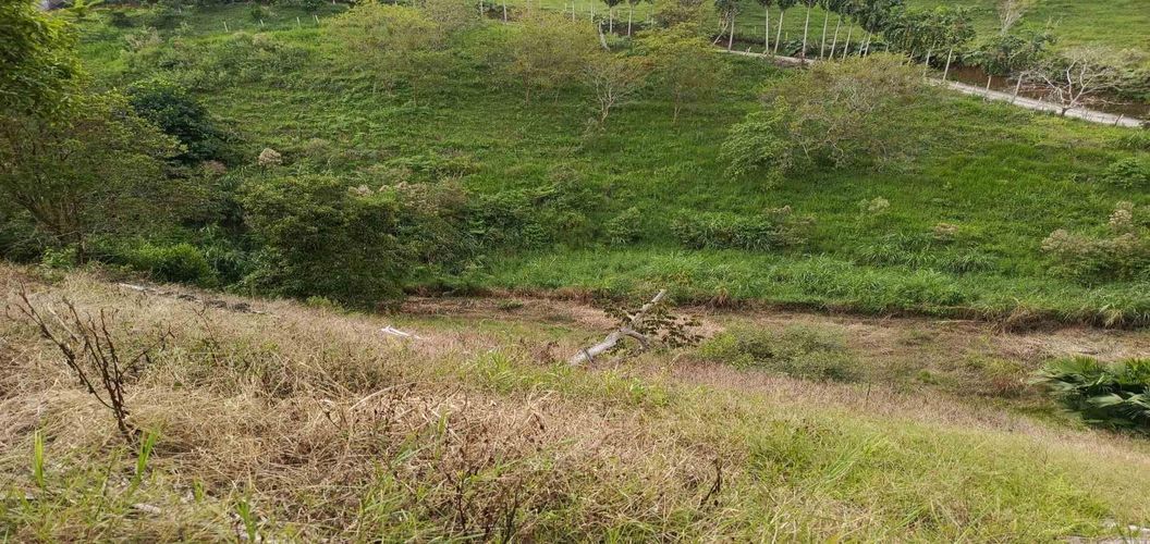 Lote en venta en Morelia, Pereira · foto 8 de 16