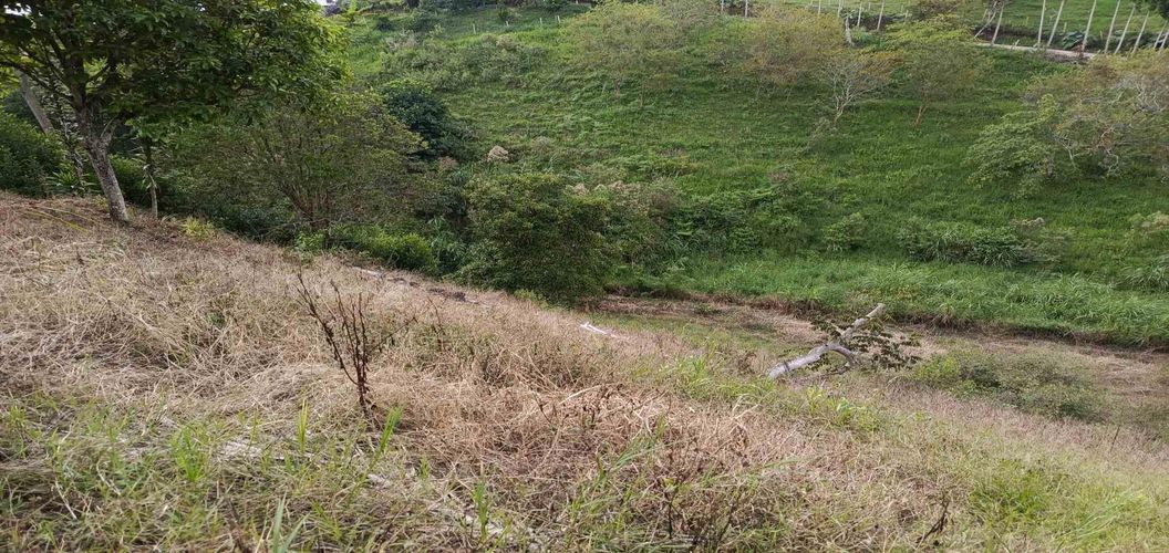 Lote en venta en Morelia, Pereira · foto 9 de 16