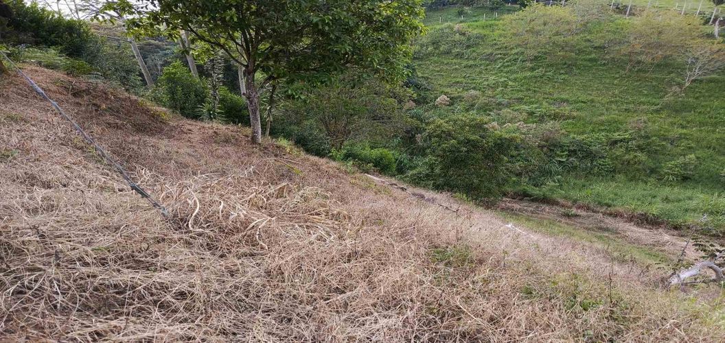 Lote en venta en Morelia, Pereira · foto 10 de 16