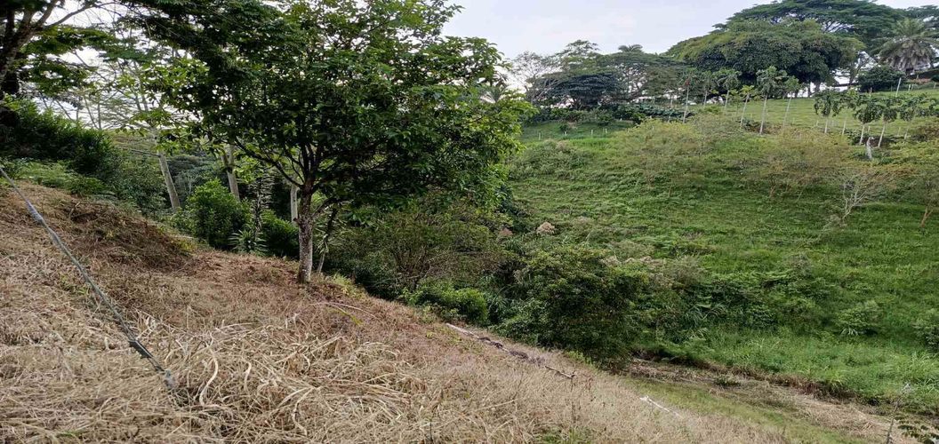 Lote en venta en Morelia, Pereira · foto 11 de 16