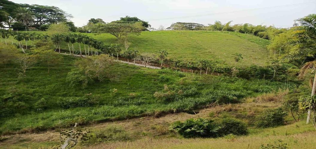 Lote en venta en Morelia, Pereira · foto 12 de 16
