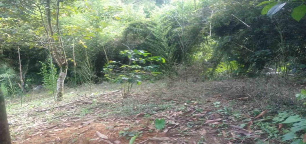 Lote en venta en Agua Azul, Dosquebradas, 45 m² · foto 2 de 14