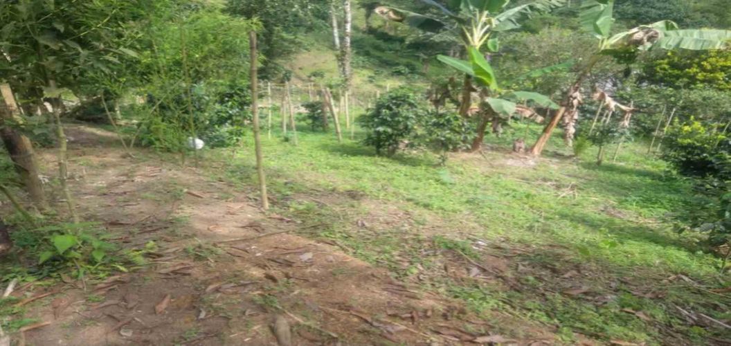 Lote en venta en Agua Azul, Dosquebradas, 45 m² · foto 4 de 14