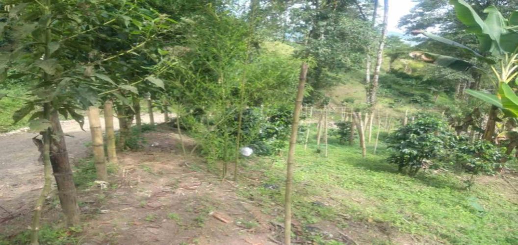Lote en venta en Agua Azul, Dosquebradas, 45 m² · foto 6 de 14
