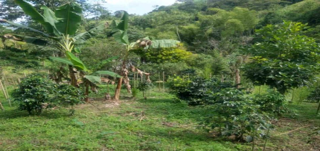 Lote en venta en Agua Azul, Dosquebradas, 45 m² · foto 7 de 14