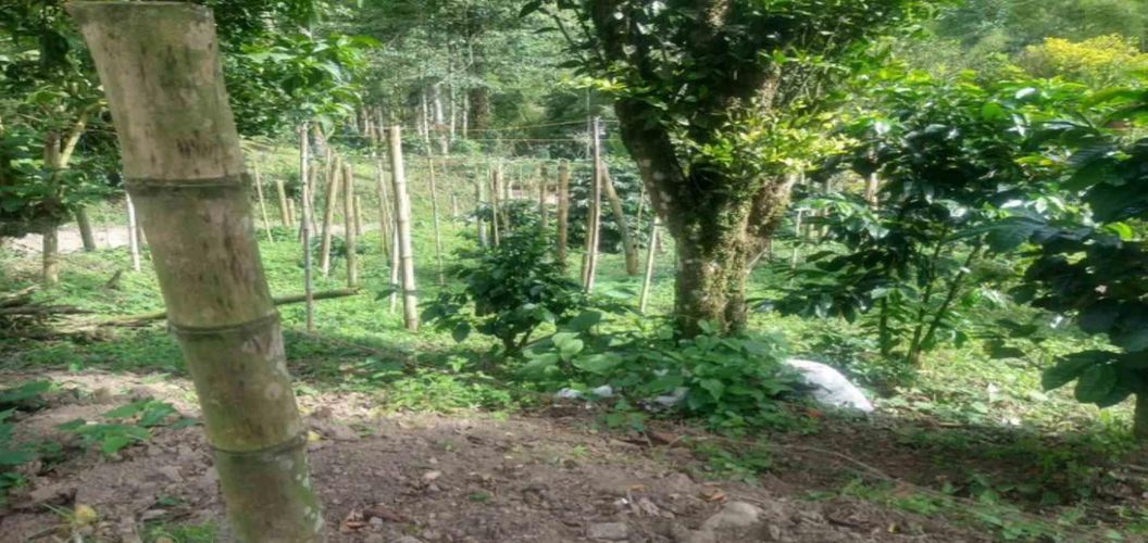 Lote en venta en Agua Azul, Dosquebradas, 45 m² · foto 8 de 14