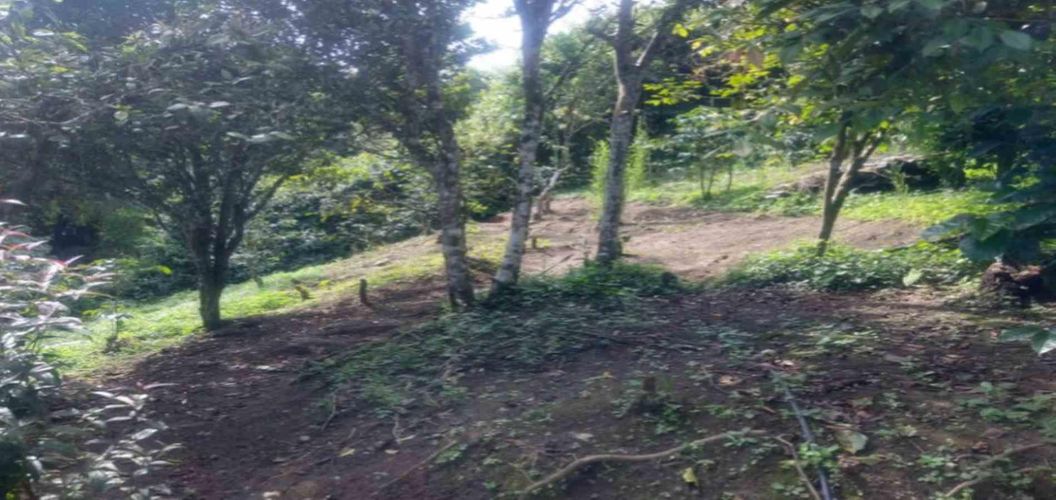Lote en venta en Agua Azul, Dosquebradas, 45 m² · foto 9 de 14