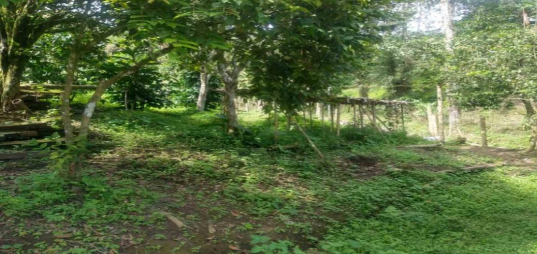 Lote en venta en Agua Azul, Dosquebradas, 45 m² · foto 10 de 14