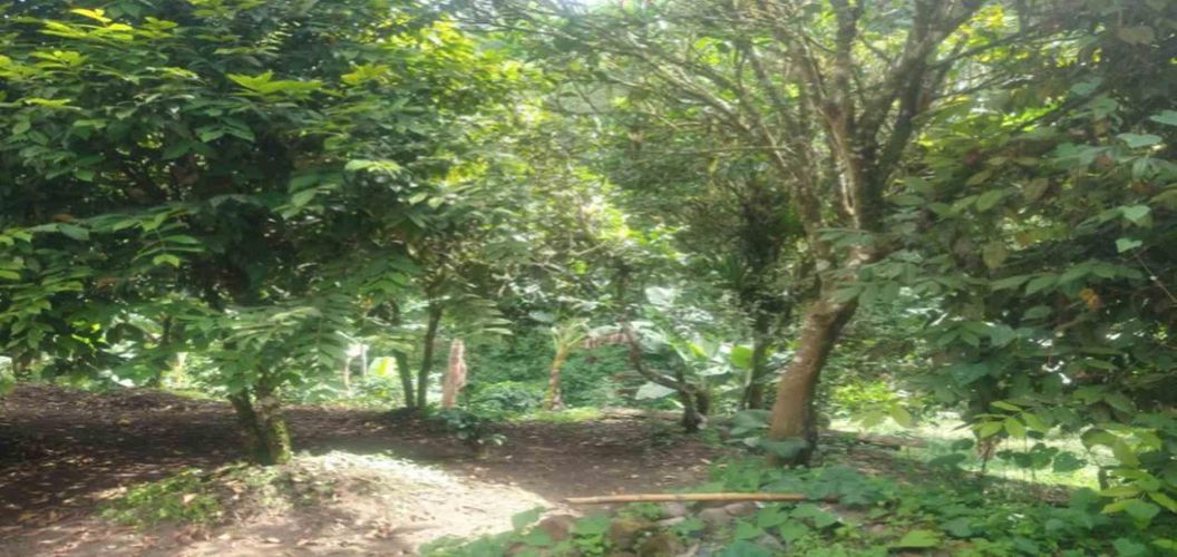Lote en venta en Agua Azul, Dosquebradas, 45 m² · foto 11 de 14