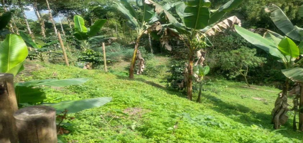 Lote en venta en Agua Azul, Dosquebradas, 45 m² · foto 13 de 14