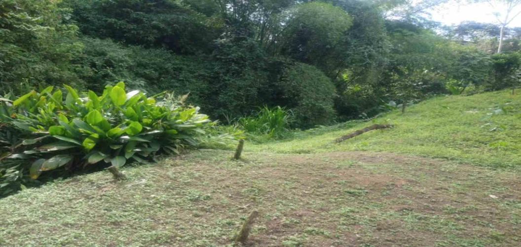 Lote en venta en Agua Azul, Dosquebradas, 45 m² · foto 14 de 14