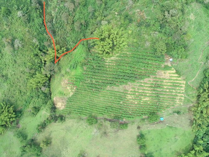 Finca en venta en La Cabaña, Manizales, 250 m² · foto 2 de 24