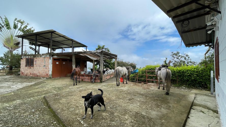 Finca en venta en La Cabaña, Manizales, 250 m² · foto 3 de 24