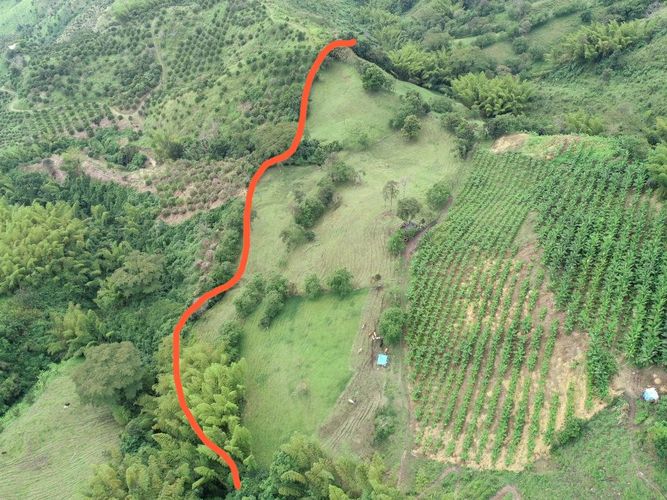 Finca en venta en La Cabaña, Manizales, 250 m² · foto 4 de 24